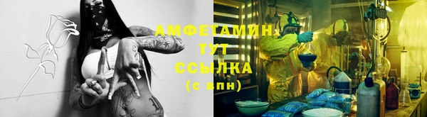 прущая мука Вяземский
