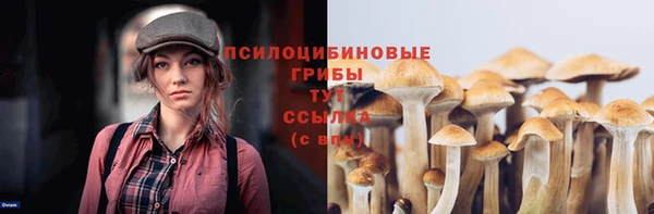 прущая мука Вяземский
