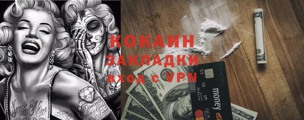 прущая мука Вяземский