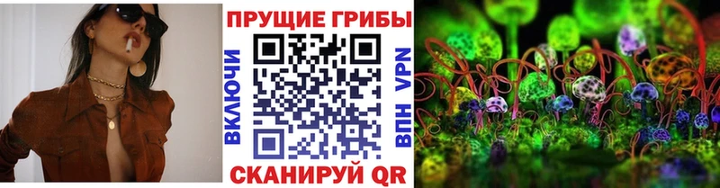 Псилоцибиновые грибы Psilocybine cubensis  Купить закладки  Новохопёрск 